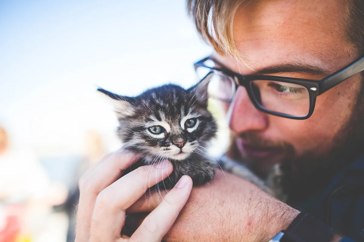 First-Time Cat Owner's Guide: What to Expect in the First Month
